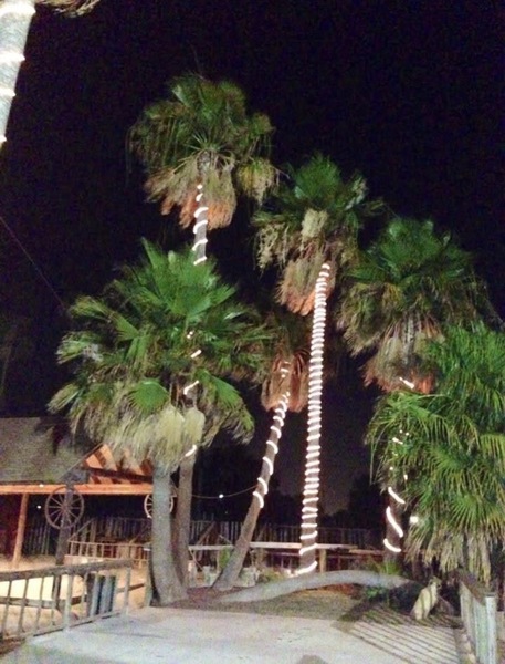 Terraza Las Palmeras