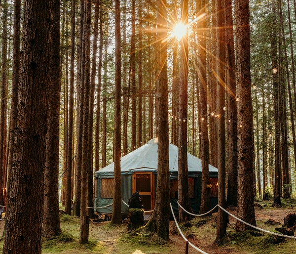 Emerald Forest Meetings & Retreats