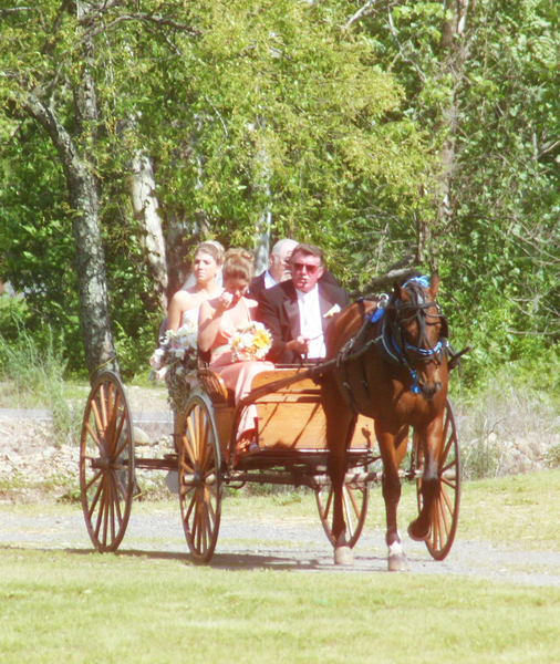 Graves Mountain Farm & Lodges