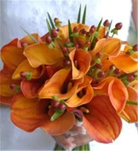 Rosies and Posies Florists in San Jose, CA