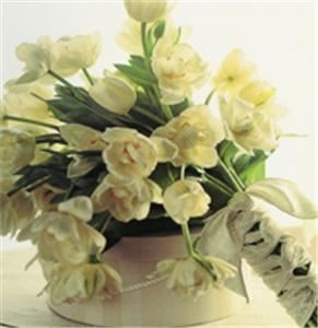 Rosies and Posies Florists in San Jose, CA