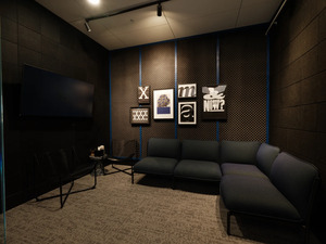 Mesa Media Room