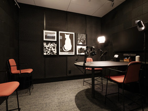 Vine Podcast Studio