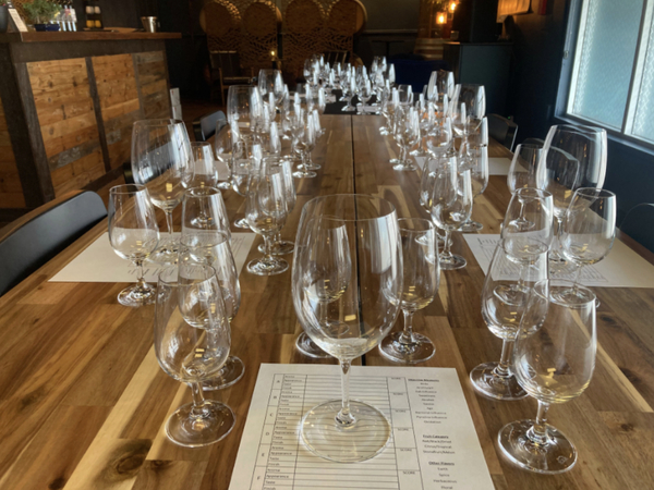 Endless Sound Cellars