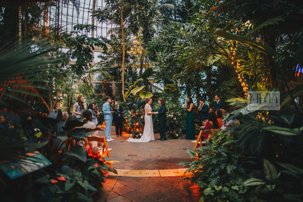 The Canopy at the Buffalo and Erie County Botanical Gardens