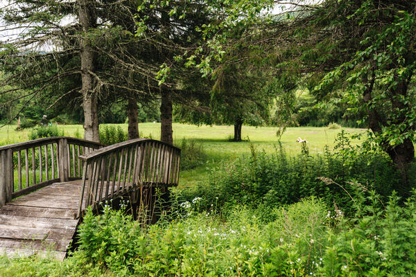 Cold Spring Lodge