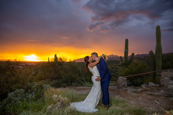 Steven Palm Photography