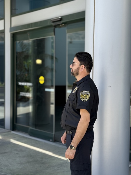 Lexmore security services