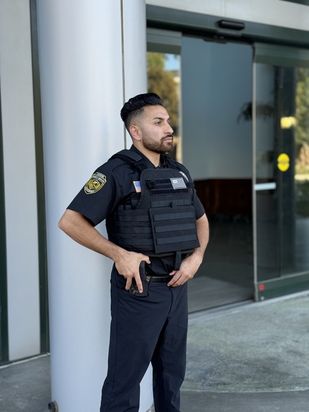 Lexmore security services
