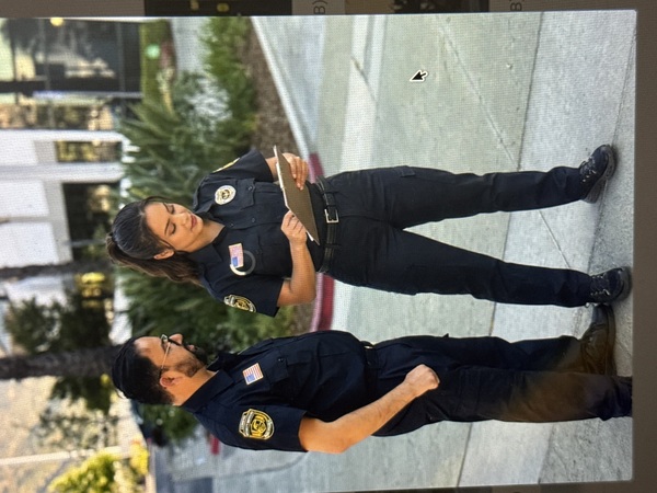 Lexmore security services