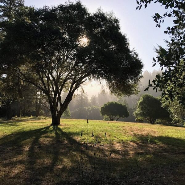 The Land