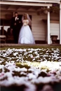 Chris McLaughlin Photography Tucson