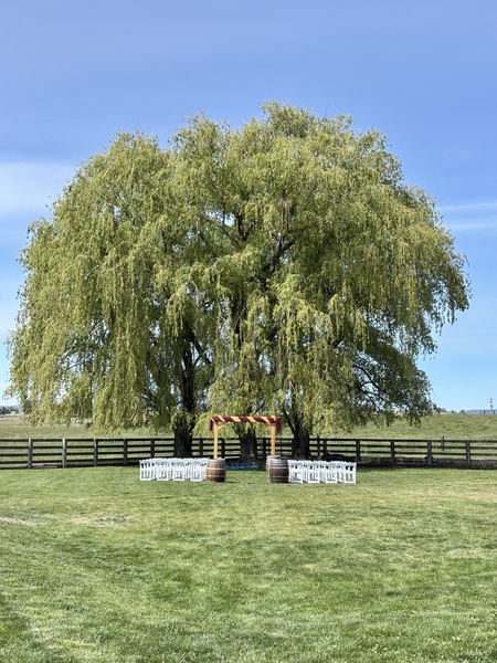 Willow Tree Ranch