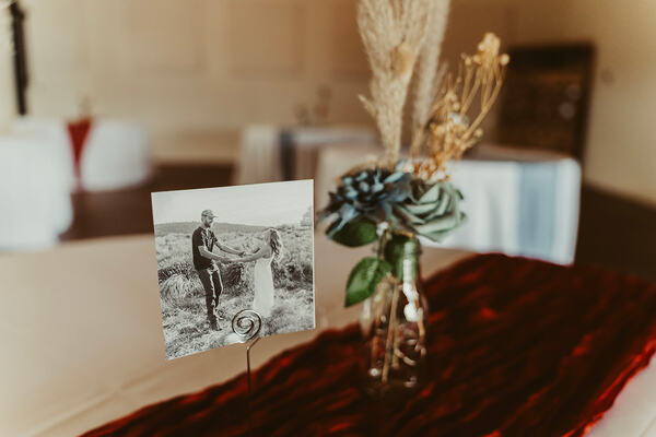 Willow Tree Ranch