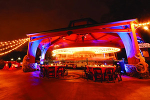 Wild Animal Carousel