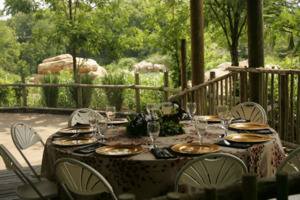 Botswana Overlook