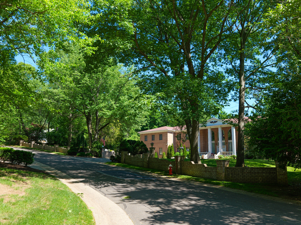 516 Spotlight Estate