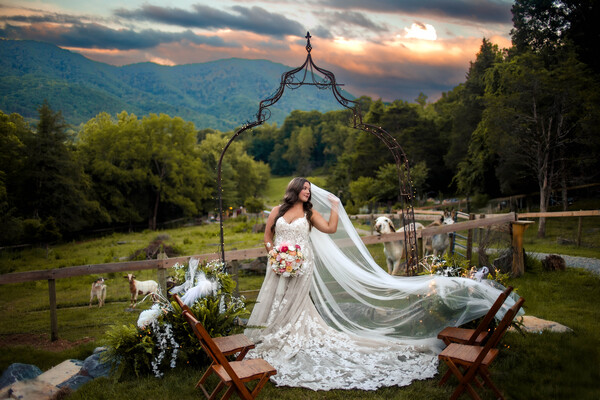 Big Cedars Farm Micro Resort