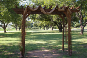 The Pecan Grove