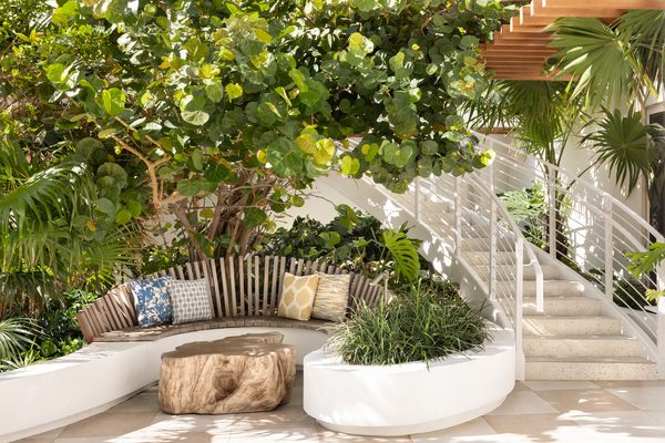 The Sunny Hotel, Curio Collection by Hilton