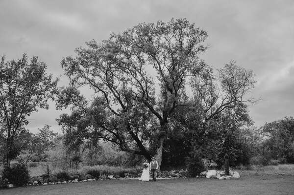 Elderberry Manor