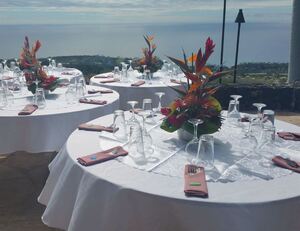 Dining Patio