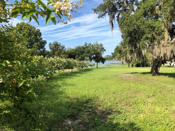 Ballroom On The Lake