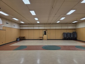 Mini-gym