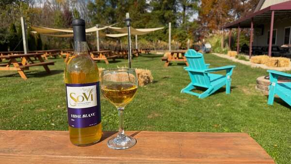 Echo Spirits On Vine - (R&S Vineyard)