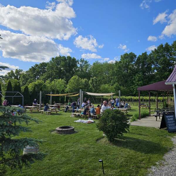 Echo Spirits On Vine - (R&S Vineyard)