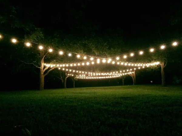 Wella Farm