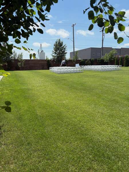 The Backyard
