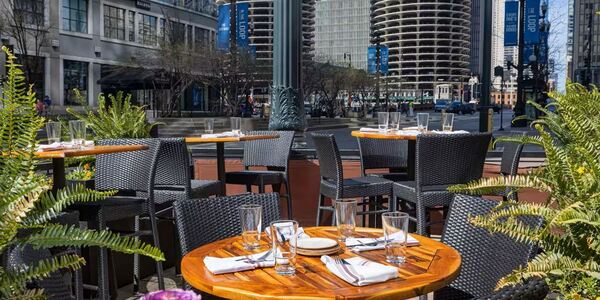 theWit -  A Hilton Hotel