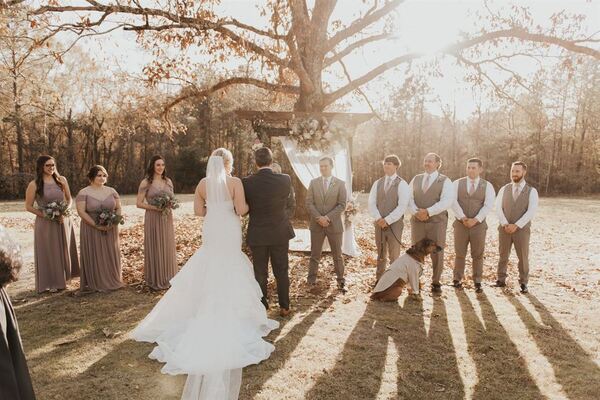 Dogwood Farms