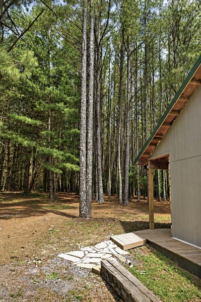 Dovetail Forest Retreat