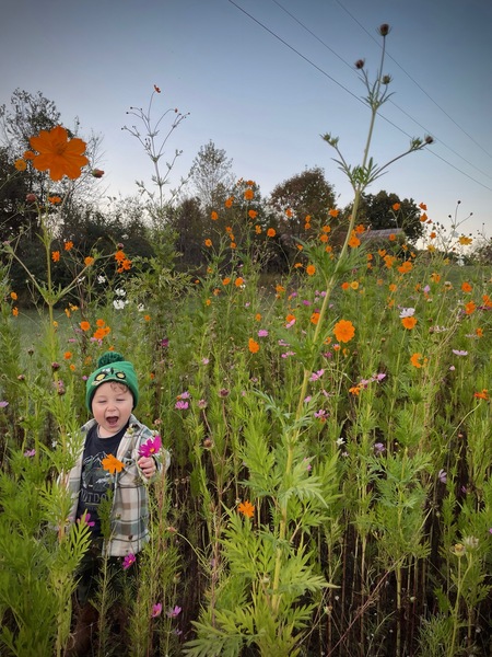 Dovetail Forest Retreat