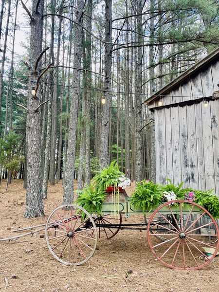 Dovetail Forest Retreat