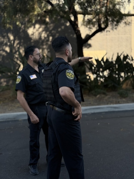 Lexmore security services