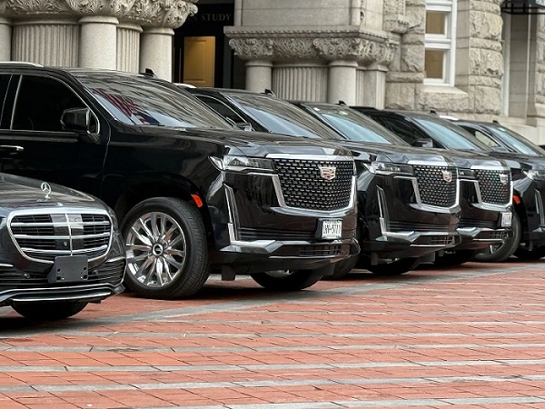 Skyline VIP Limo