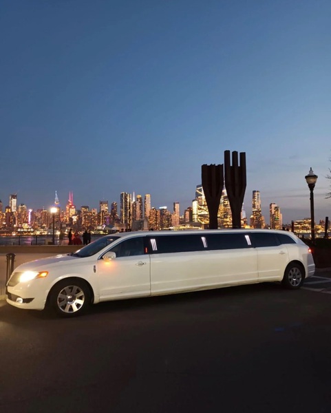 Skyline VIP Limo
