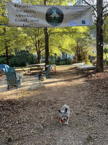 Sacred Grove Retreat