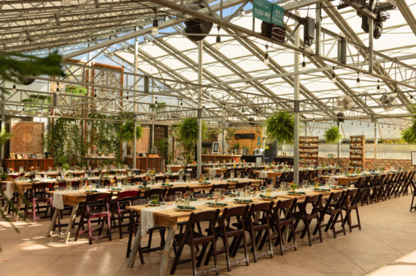 The Atrium