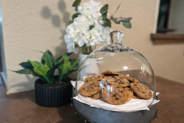 MountainView Lodge & Suites