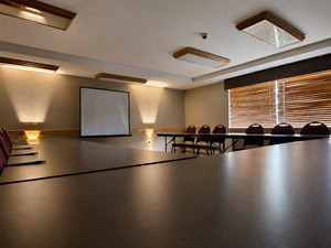 Large Meeting/Conference Space