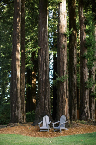 Mountain Terrace At Woodside