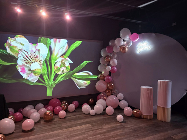 Freedom Venue | Creative Development Hub