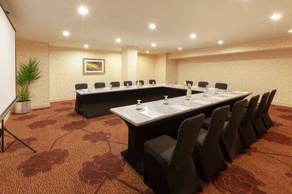 Hilton Garden Inn Pittsburgh University Place