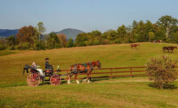 Country Manor Acres