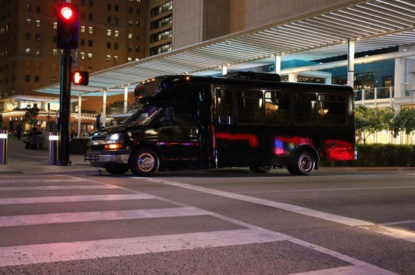 Black Clover Party Buses