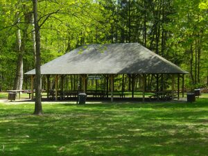 Playground Shelter